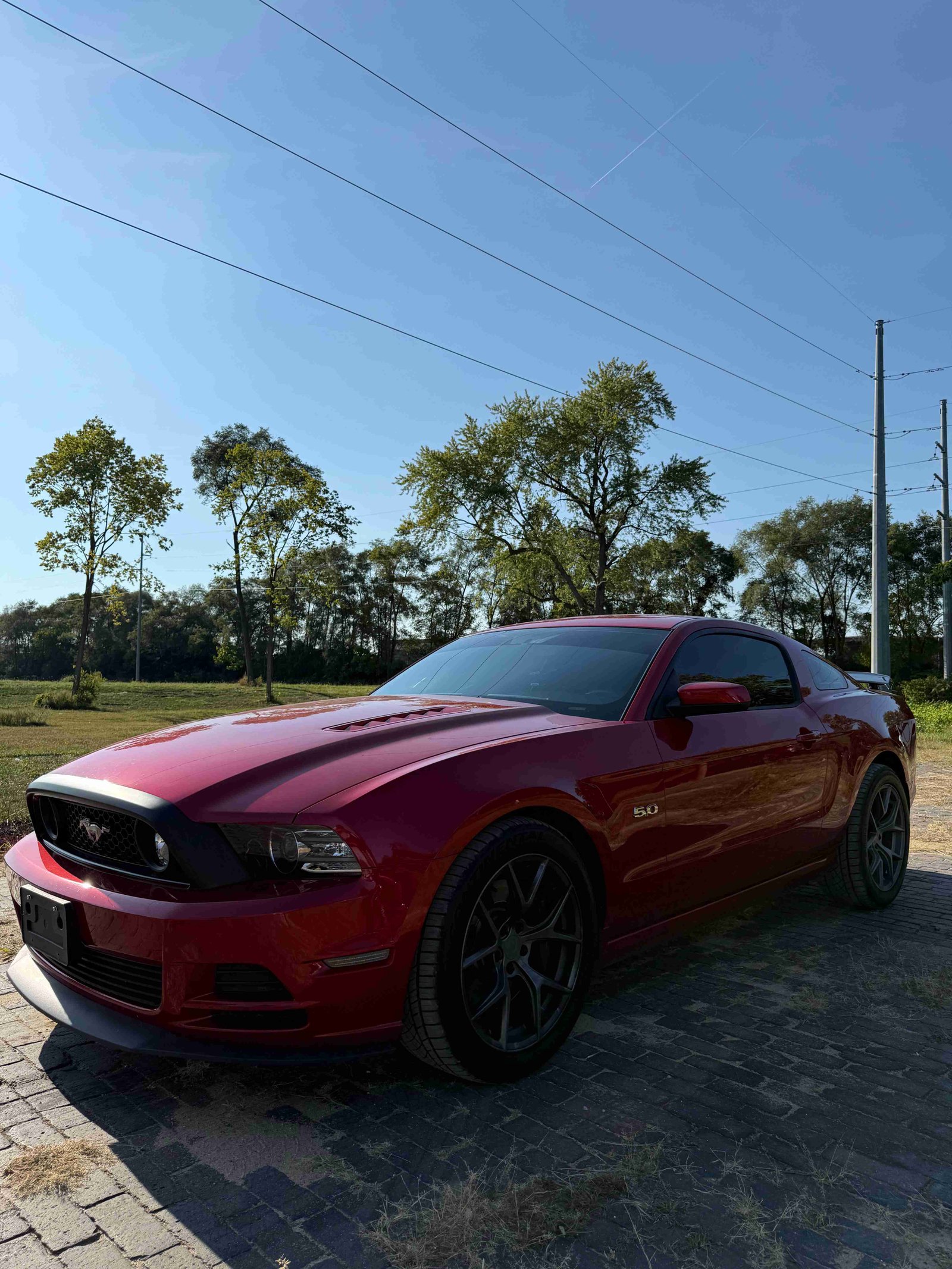 ABR Exclusives tint work